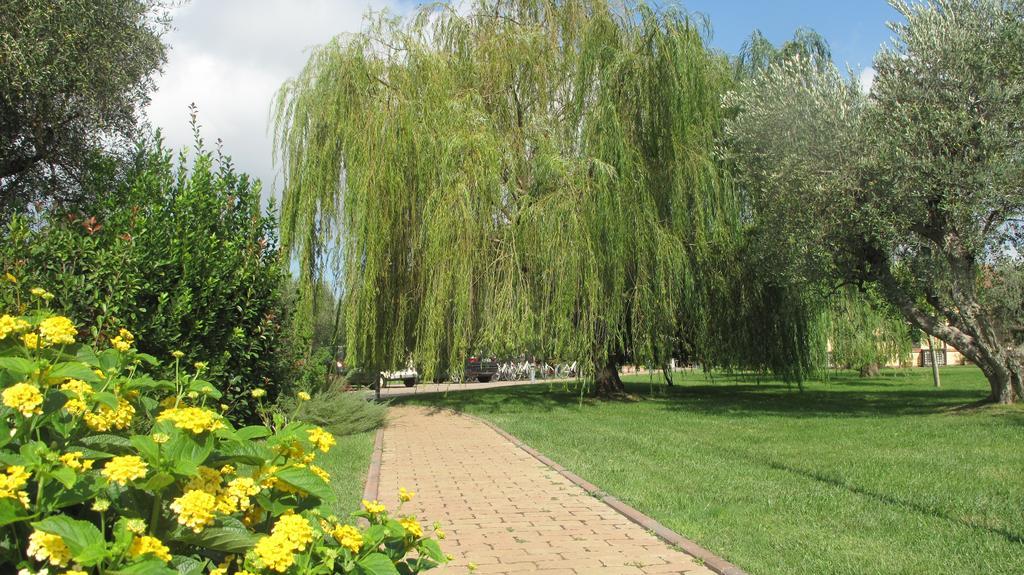 Podere Turicchio ออร์เบเตลโล ภายนอก รูปภาพ