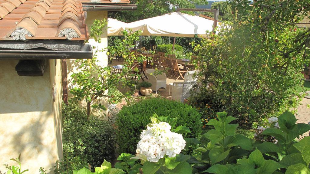 Podere Turicchio ออร์เบเตลโล ภายนอก รูปภาพ