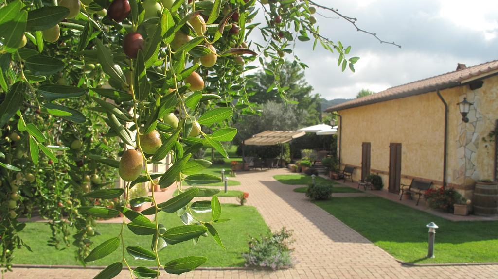 Podere Turicchio ออร์เบเตลโล ภายนอก รูปภาพ
