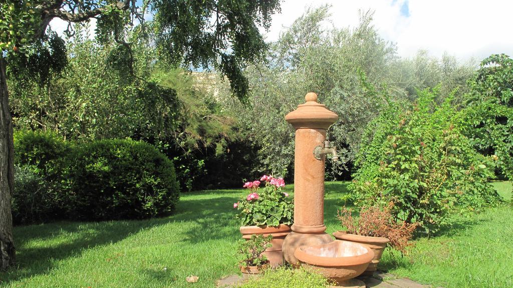 Podere Turicchio ออร์เบเตลโล ภายนอก รูปภาพ