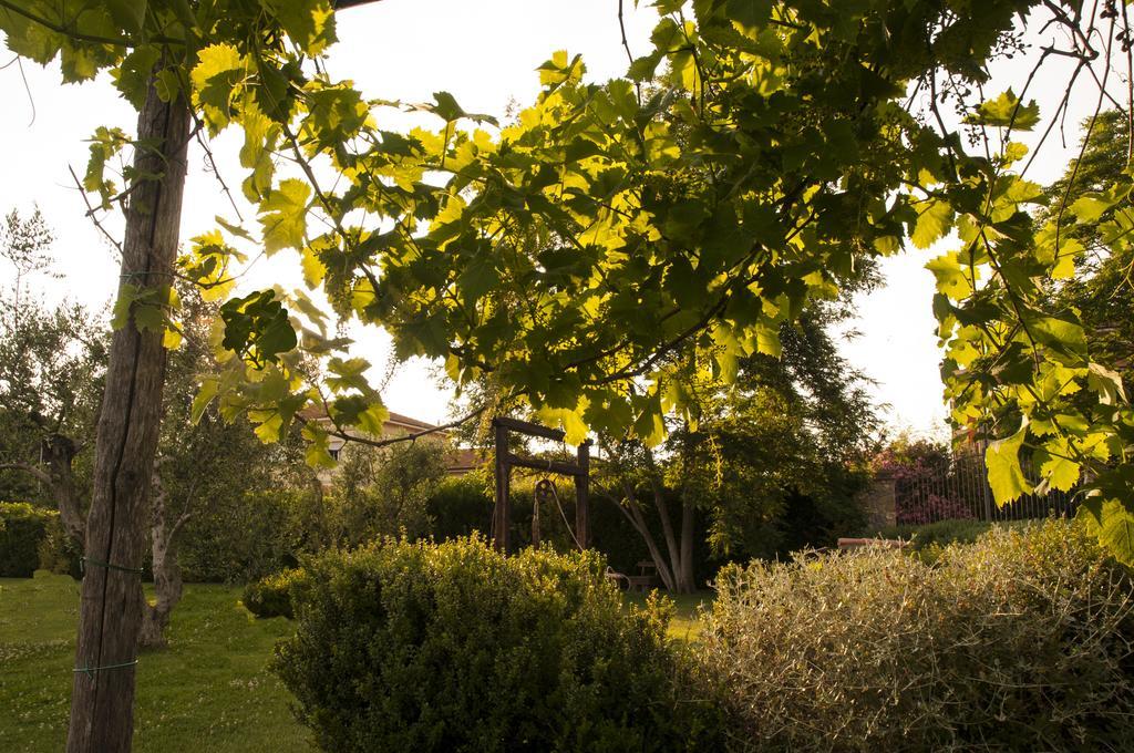 Podere Turicchio ออร์เบเตลโล ภายนอก รูปภาพ